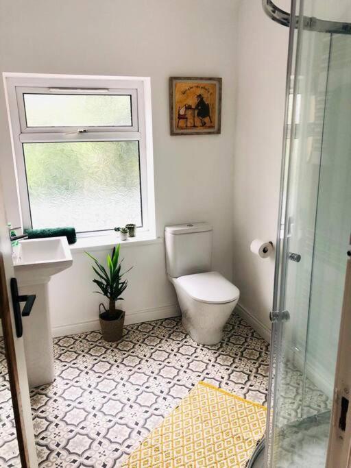 הוילה בלפסט Cosy House, Lisburn Road מראה חיצוני תמונה